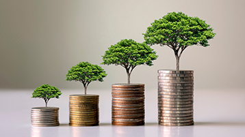 How to Grow Money?
