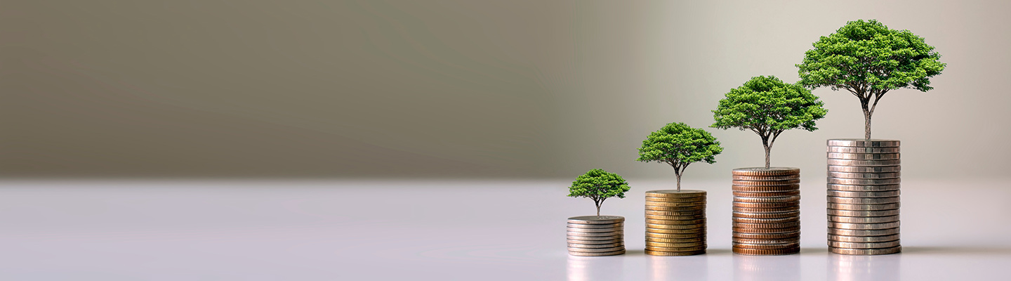 how-to-grow-money-d how-to-grow-money-d