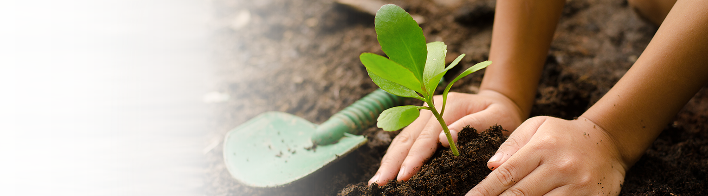 CSR-Initiatives_BG CSR-Initiatives_BG