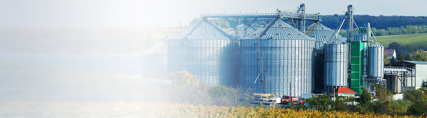 agro-processing-business agro-processing-business