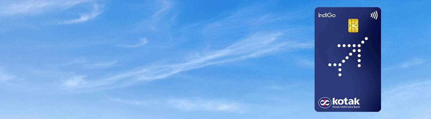 Indigo Blue_Web