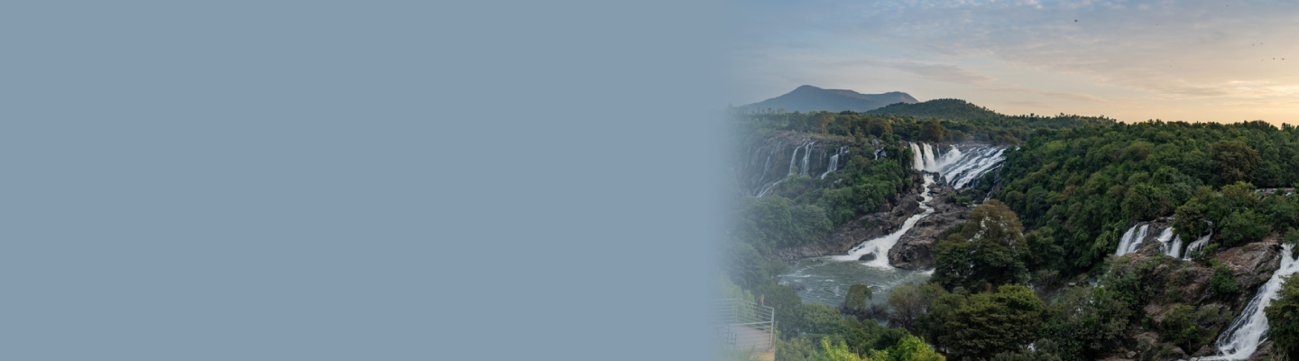 kaveri online services kaveri online services